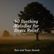 40 Soothing Melodies for Stress Relief
