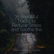 35 Beautiful Tracks to Reduce Stress and Soothe the Mind