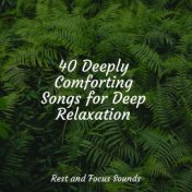 40 Deeply Comforting Songs for Deep Relaxation