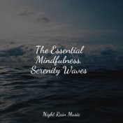 The Essential Mindfulness, Serenity Waves