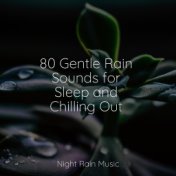 80 Gentle Rain Sounds for Sleep and Chilling Out