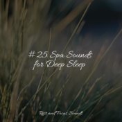 #25 Spa Sounds for Deep Sleep