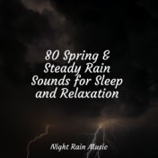 80 Spring & Steady Rain Sounds for Sleep and Relaxation