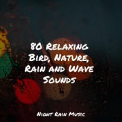 80 Relaxing Bird, Nature, Rain and Wave Sounds