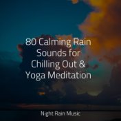 80 Calming Rain Sounds for Chilling Out & Yoga Meditation