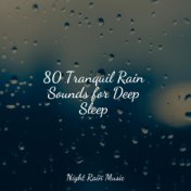 80 Tranquil Rain Sounds for Deep Sleep