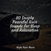 80 Deeply Peaceful Rain Sounds for Sleep and Relaxation