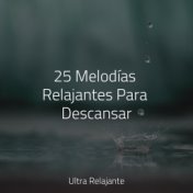 25 Melodías Relajantes Para Descansar