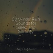 80 Winter Rain Sounds for Sleep and Serenity