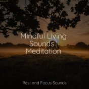 Mindful Living Sounds | Meditation