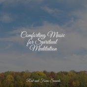 Comforting Music for Spiritual Meditation