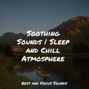 Soothing Sounds | Sleep and Chill Atmosphere