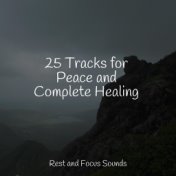 25 Tracks for Peace and Complete Healing