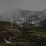 35 Compilation of Sleep Beats for Pure Sleep