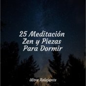 25 Meditación Zen y Piezas Para Dormir