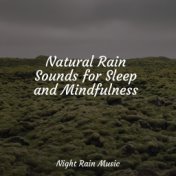 Natural Rain Sounds for Sleep and Mindfulness