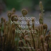 Meditación Melodías de la Madre Naturaleza