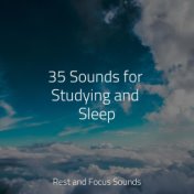 35 Sounds for Studying and Sleep