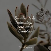 Sonidos de la Naturaleza | Serenidad Completa