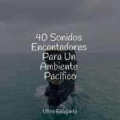 40 Sonidos Encantadores Para Un Ambiente Pacífico