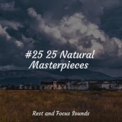 #25 25 Natural Masterpieces