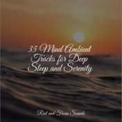 35 Mind Ambient Tracks for Deep Sleep and Serenity