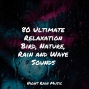 80 Ultimate Relaxation Bird, Nature, Rain and Wave Sounds