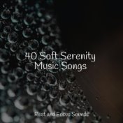 40 Soft Serenity Music Songs