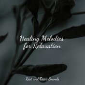 Healing Melodies for Relaxation