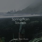 Spring Rain Sounds