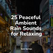 25 Peaceful Ambient Rain Sounds for Relaxing