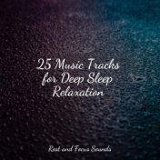 25 Music Tracks for Deep Sleep Relaxation