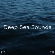 !!!" Deep Sea Sounds "!!!