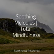 Soothing Melodies | Total Mindfulness