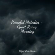 Peaceful Melodies - Quiet Rainy Morning