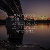 #Primavera 2021 Melodías Sensuales De La Naturaleza Ambiental