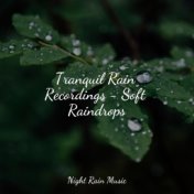 Tranquil Rain Recordings - Soft Raindrops