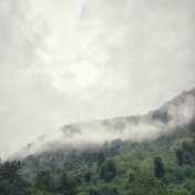 30 Comforting Nature Rain Recordings for Sleep