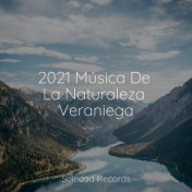 2021 Música De La Naturaleza Veraniega