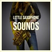 Little Saxophone Sounds
