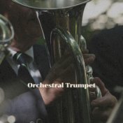Orchestral Trumpet