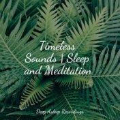 Timeless Sounds | Sleep and Meditation