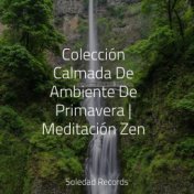 Colección Calmada De Ambiente De Primavera | Meditación Zen