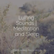 Lulling Sounds | Meditation and Sleep