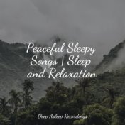 Peaceful Sleepy Songs | Sleep and Relaxation