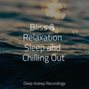 Bliss & Relaxation Sleep and Chilling Out