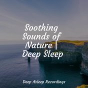 Soothing Sounds of Nature | Deep Sleep