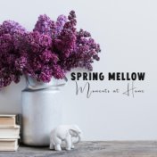 Spring Mellow Moments at Home