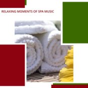 Relaxing Moments Of Spa Music