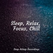 Sleep, Relax, Focus, Chill